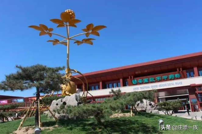 河北十大地域特色产业有哪些？你的家乡还有哪